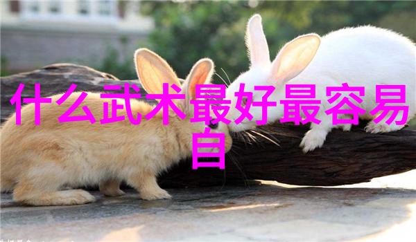武术基本功网站 - 掌握古老智慧武术基本功网站的完美练习指南