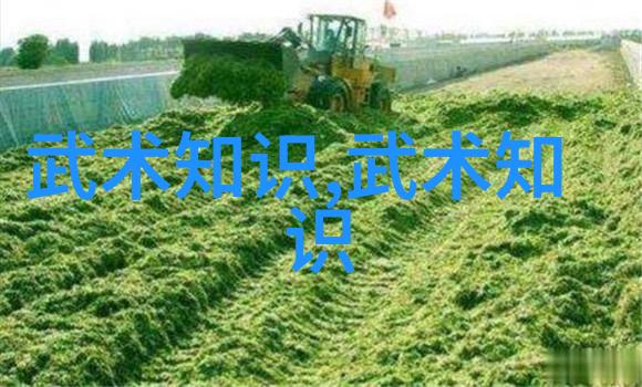 帮派名字大全聚焦街头巷尾的文化符号与秘密标志