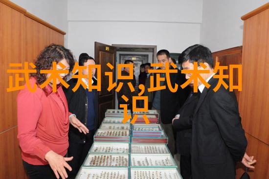 中国拳法的丰富多样探索中华武术的各种风格
