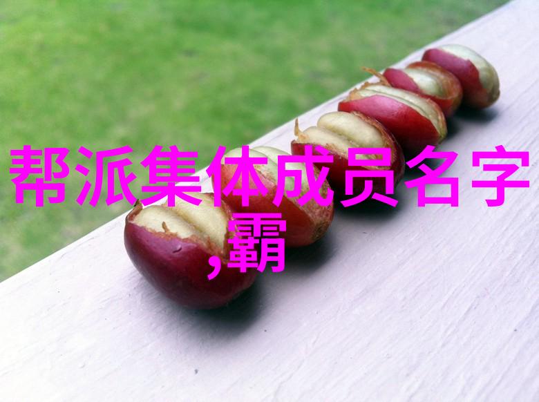 武术-九大流派的精髓探究