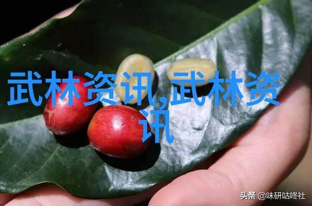 中华武林秘笈30门派武学之冠