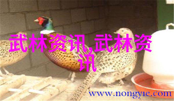 殷若宁揭秘新款高尔夫球具圆石滩之旅 刘瑞欣在美国女子公开赛初战告捷