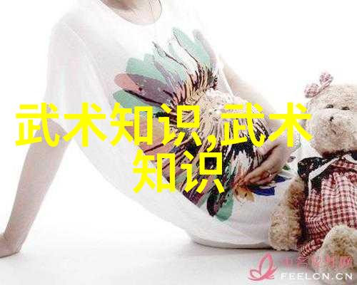 中国功夫秘籍大全我怎样学会了这个让人惊叹的武术秘籍