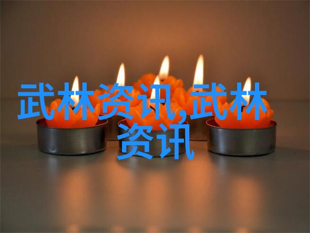 太极拳24式口令的艺术与智慧