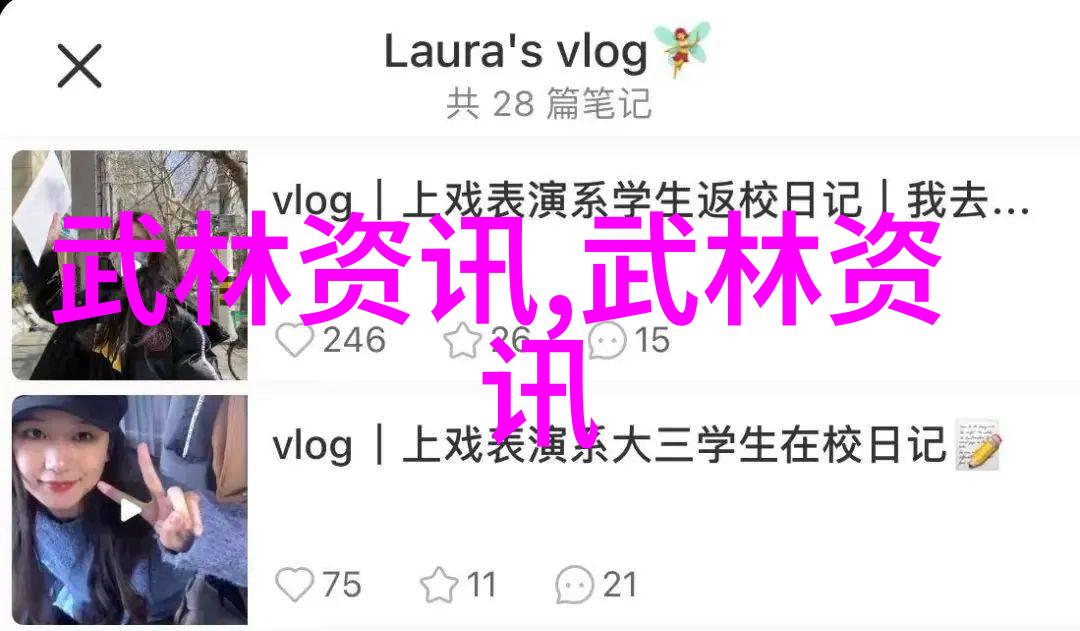 武功秘籍大全 拳法-拳法精髓揭秘武功秘籍大全中的击打艺术