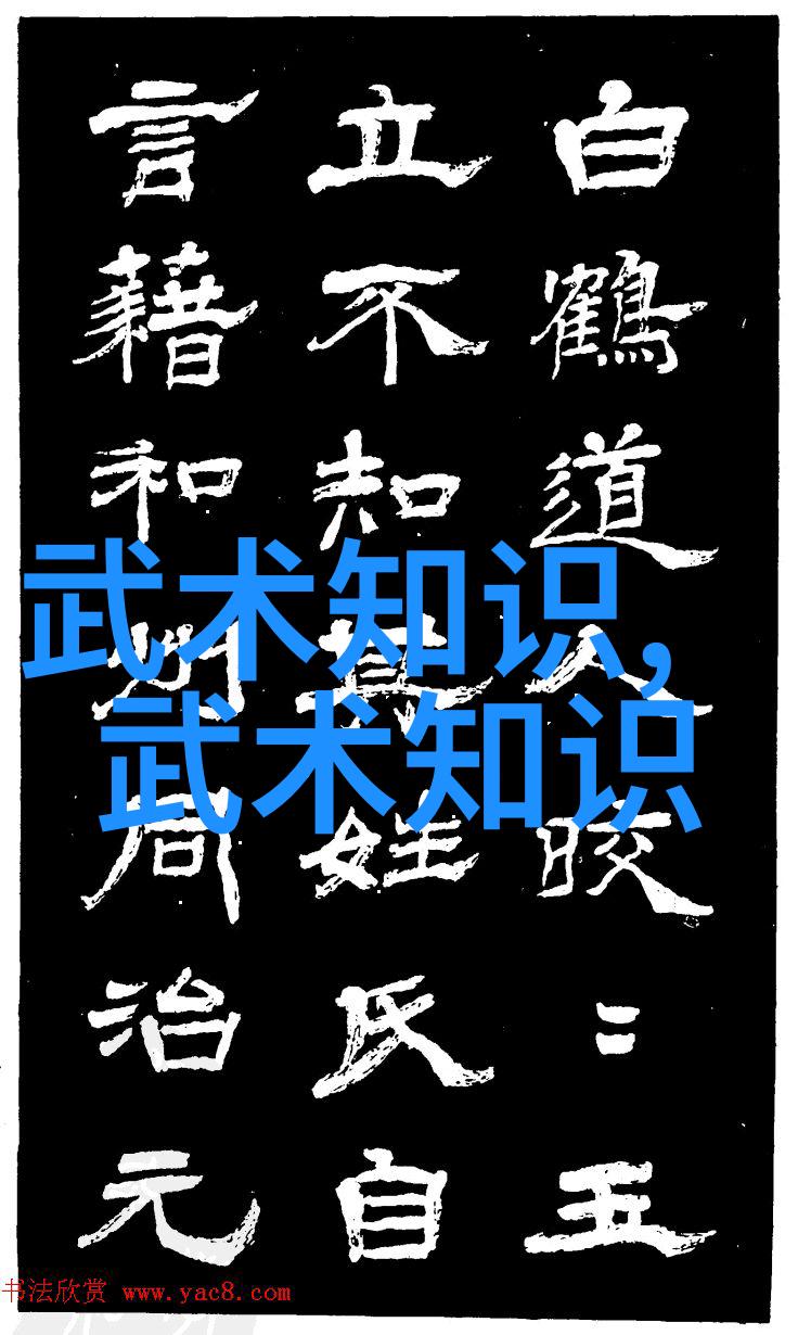 太极拳之美四十式动作解析与口令实录