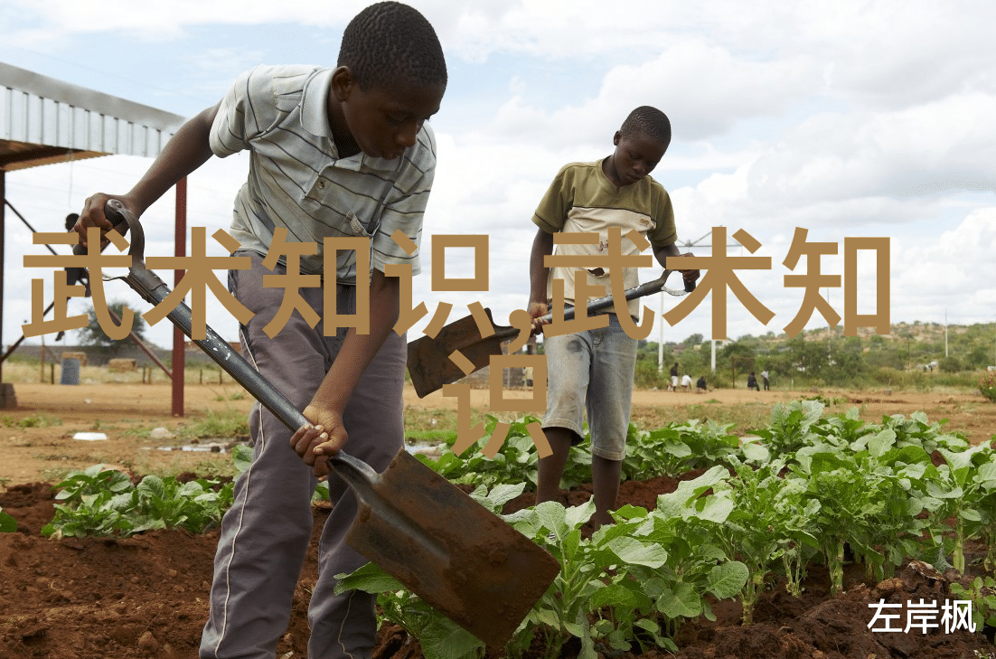 古风奇幻-绘龙之巅好听的势力名称古风探秘