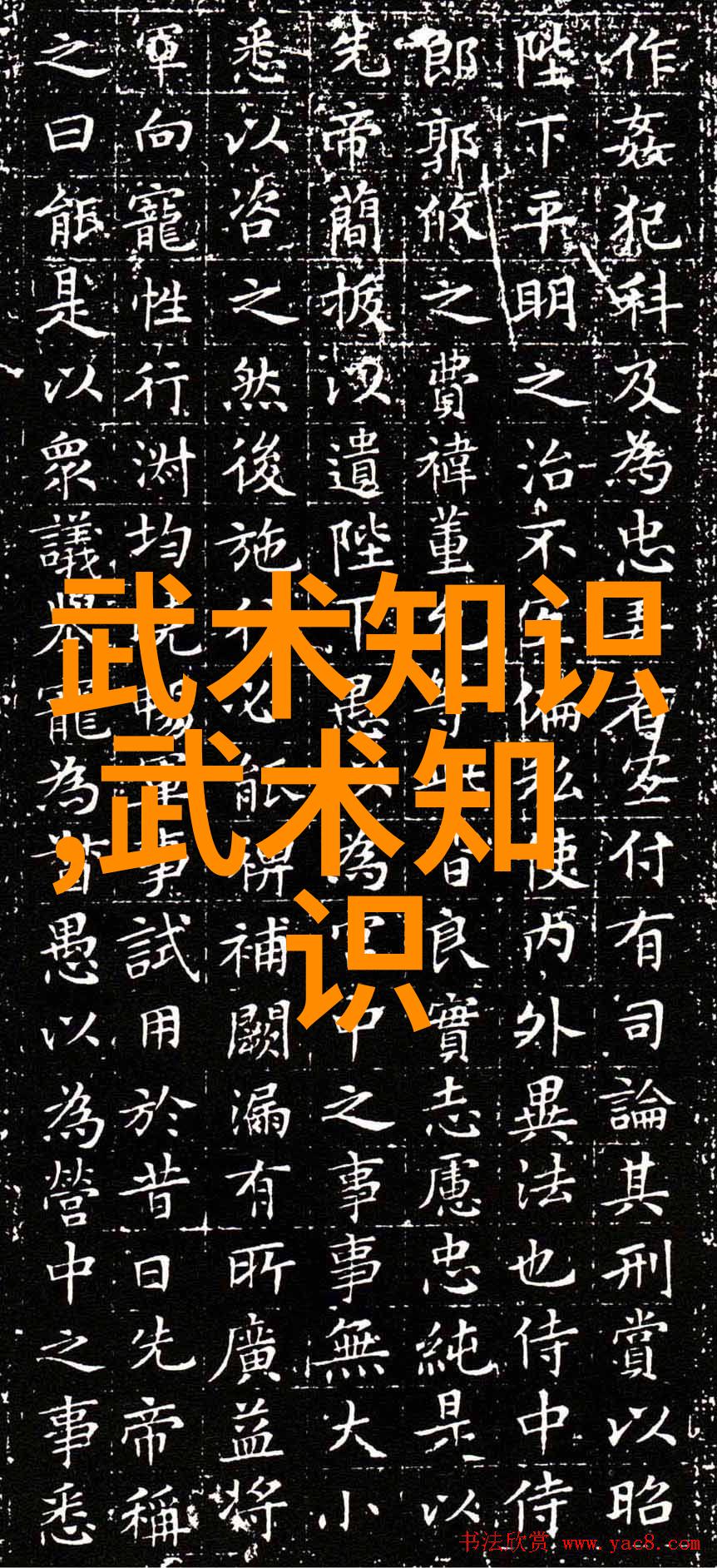 拳法比较揭秘南拳和华拳的技巧差异