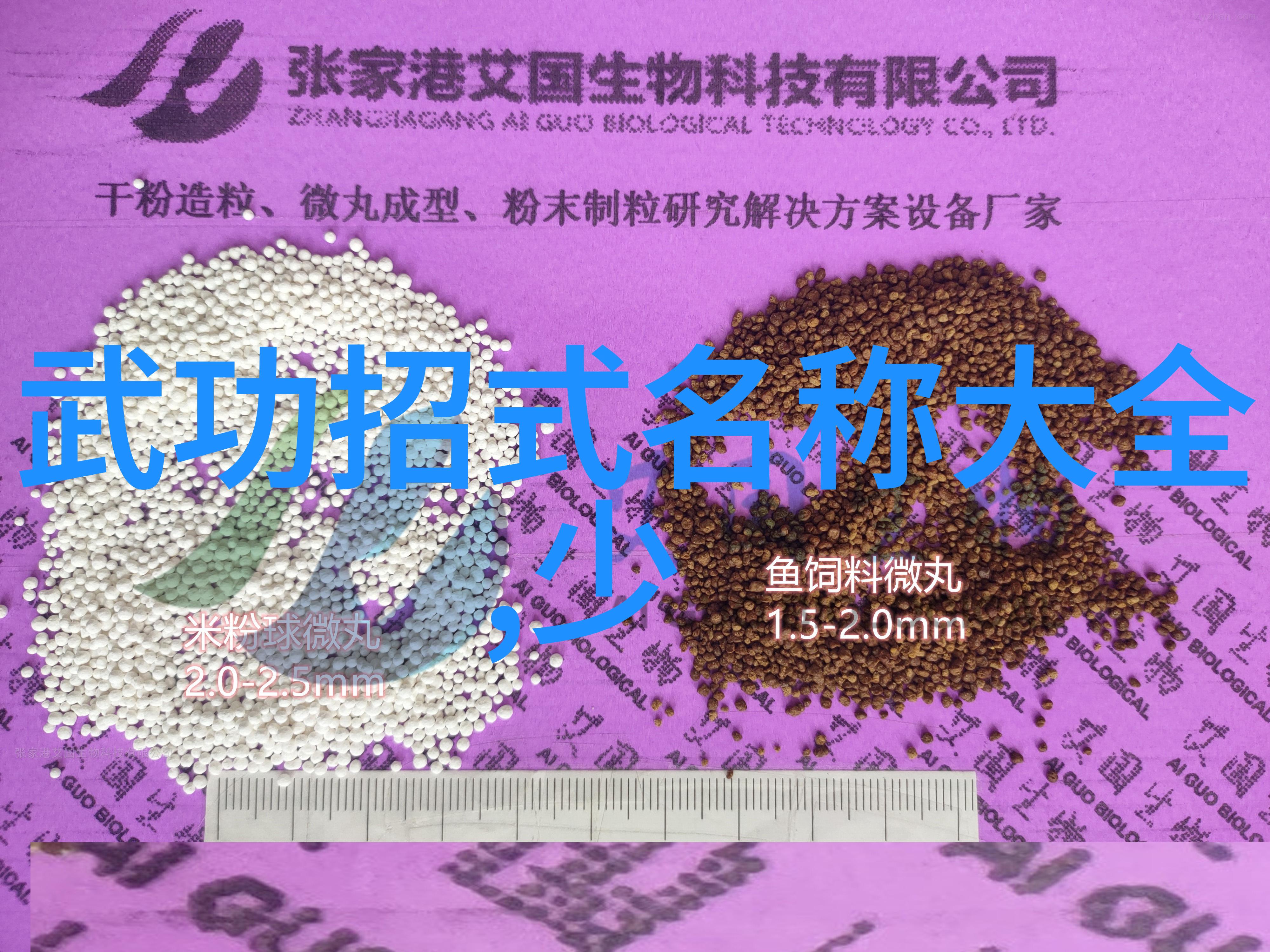 门派的变迁探索现代武林的新篇章