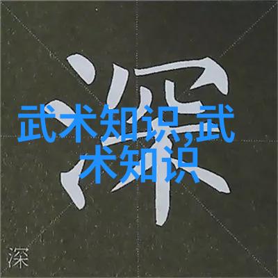 武道秘笈天地玄黄诀