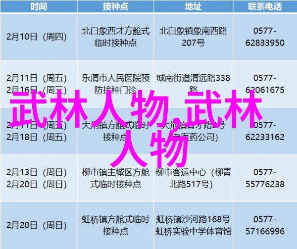 中华武林传揭秘中国最著名的武术流派