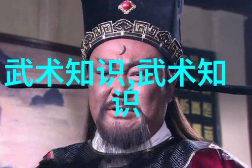 修炼身心将传统武术12大基础转化为现代生活智慧