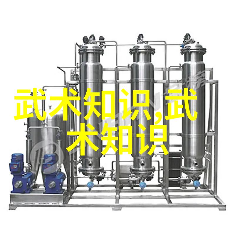 武当山的传人之谜揭开十五代继承人的秘密