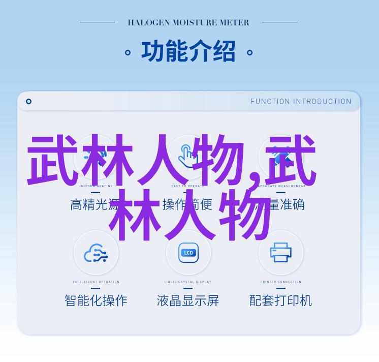 杨式四十式与四十二四十八之比较探秘中国武术秘籍书中的珍品