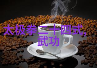 武林实力大比拼揭秘中国功夫门派的实战排名
