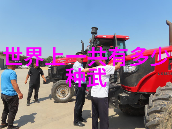 拳法之魂十六招式图解的奥秘探寻