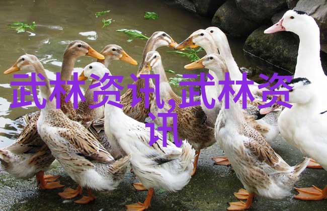 沉浸式学习利用游戏模拟器提升拳脚技术