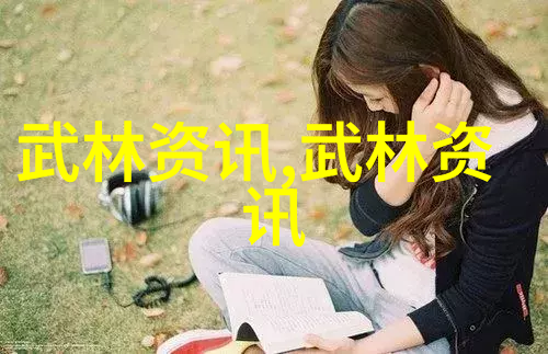 少林武林传说中的绝技揭秘最强大的内家拳法
