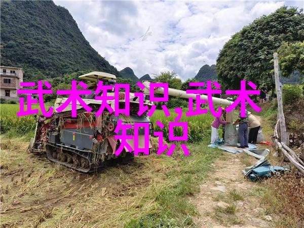 太极拳24式秘笈揭秘古老武学中的神秘动作