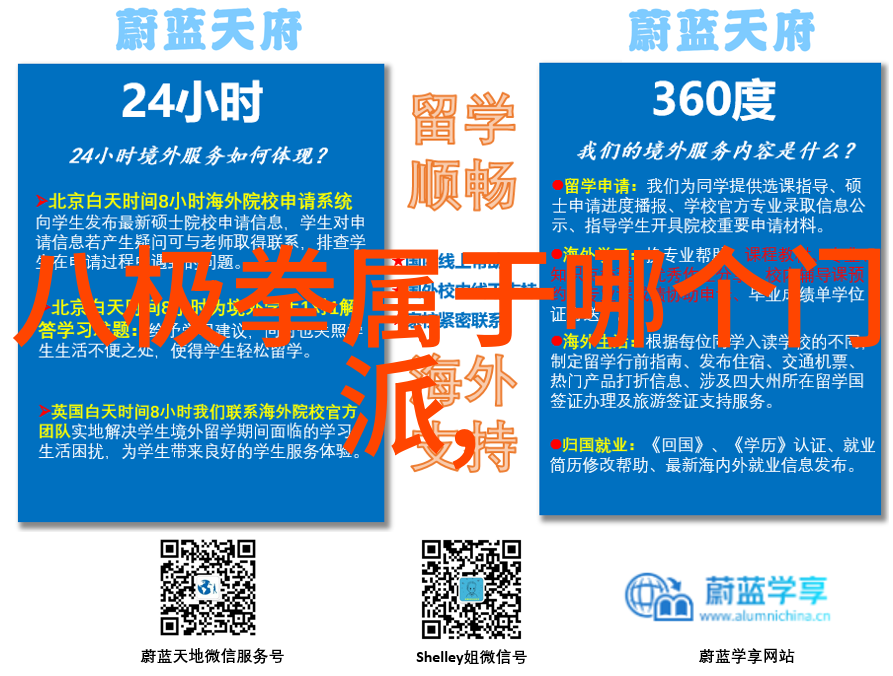 哪门武术最厉害大名府内家拳震撼登场
