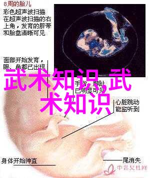 双男主冰块棉签夹子酒精扩张器夏日清凉美容工具