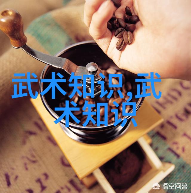 武林八大门派掌门人反复提及过气捶的荣光与衰落