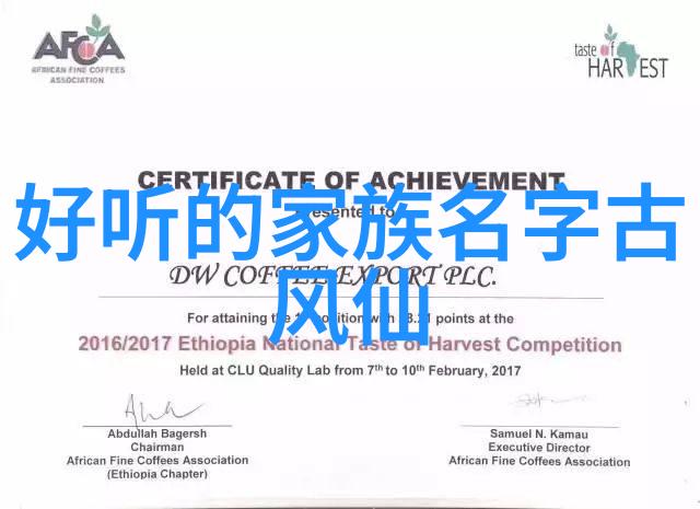 武功自学教学视频掌握内功外功的秘籍