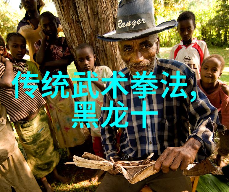 太极拳松在眉宇之间轻功亦可一笑成