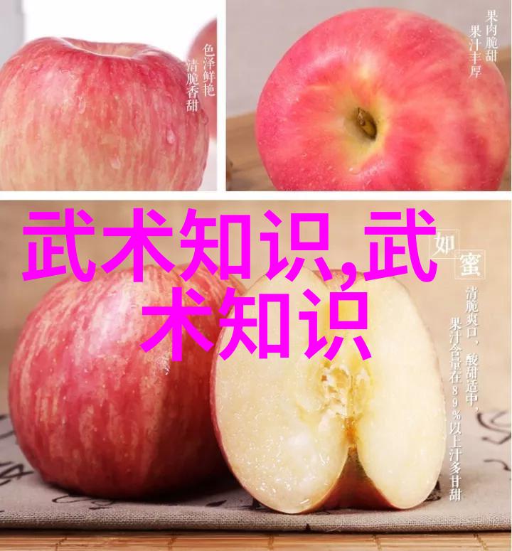 张宝银教授的太极拳黏手练功让孩子们在物品中感受少儿散打武术的魅力