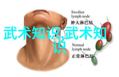 什么是武功为什么又与武术不同