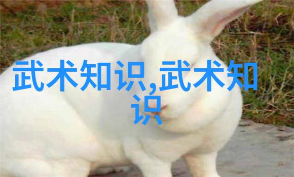 家族徽章回响中的古风名字探秘