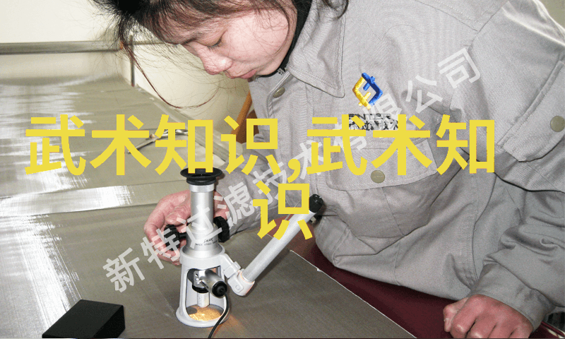 太极拳之秘解锁四十式口令的神秘之谜