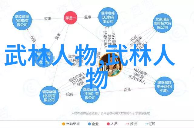 剖析武林秘密武功与武术的本质差异探究