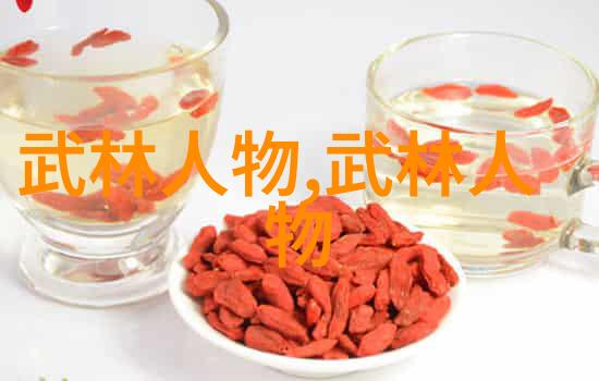 鹿鼎记中的皇家武功康熙帝身边的杀手群英