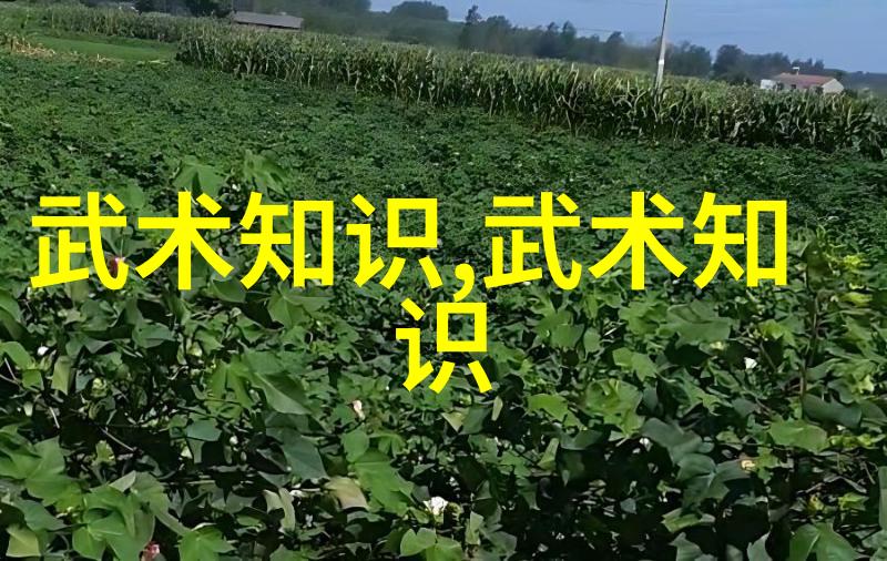 封印与解封揭开武林中禁忌之术的神秘面纱
