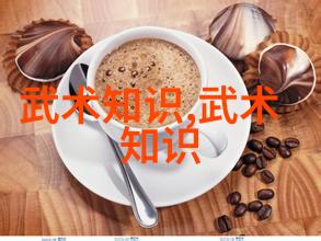 拳法入门基础与实践探究