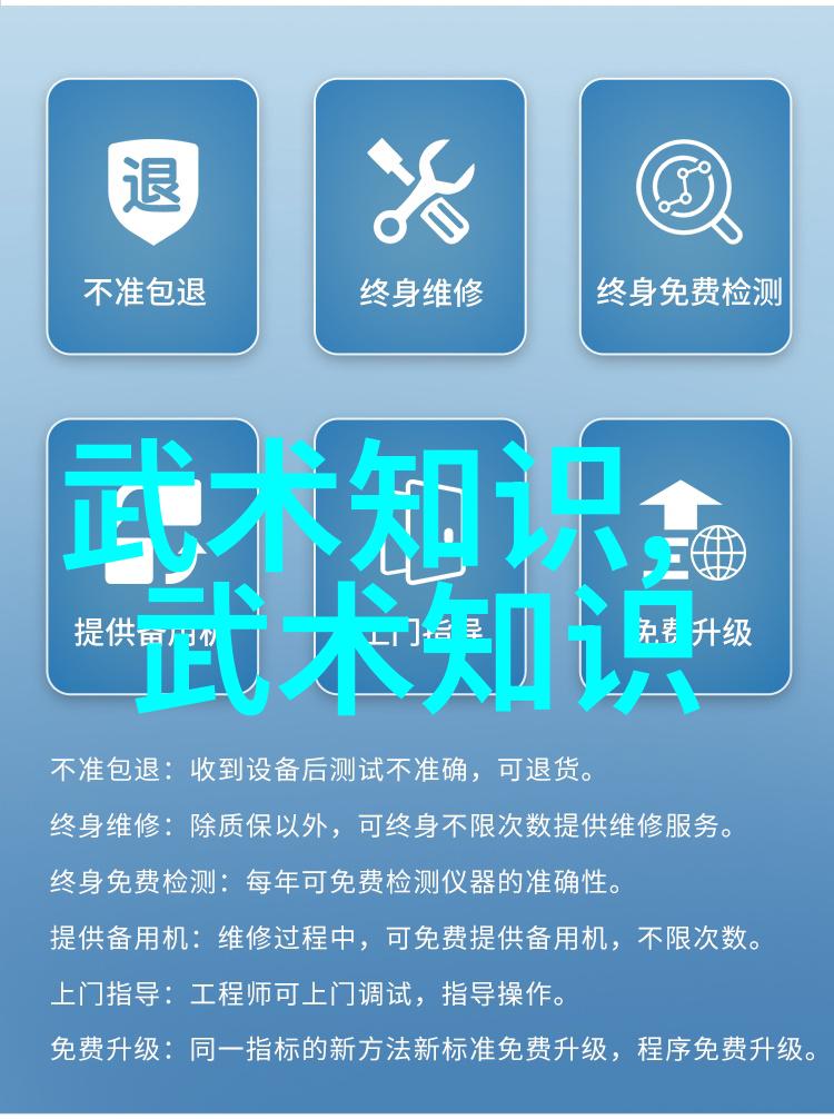 武当十五代传人影踪与传奇的交响