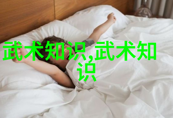 武功自学教学视频-掌握秘籍武功自学教学视频全解析