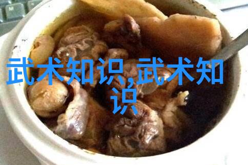南拳和华拳哪个厉害武术对决南拳与华拳的高低