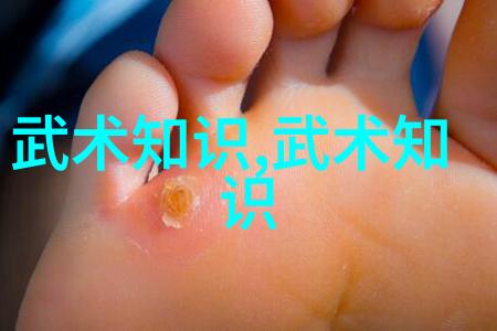 桃花流水中隐藏着什么样的杀招中国内功和日本气功谁更有力量