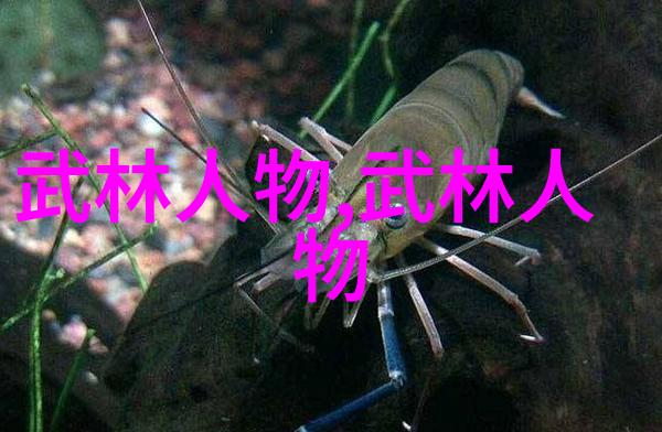 古风奇幻 - 龙凤势力传说中的华丽篇章