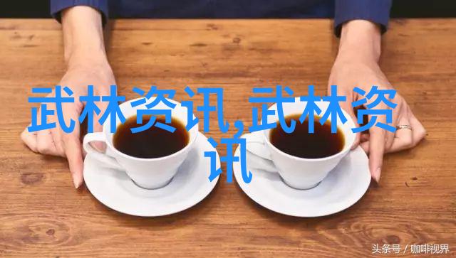 练轻功最快的方法内功修为提升器械操练