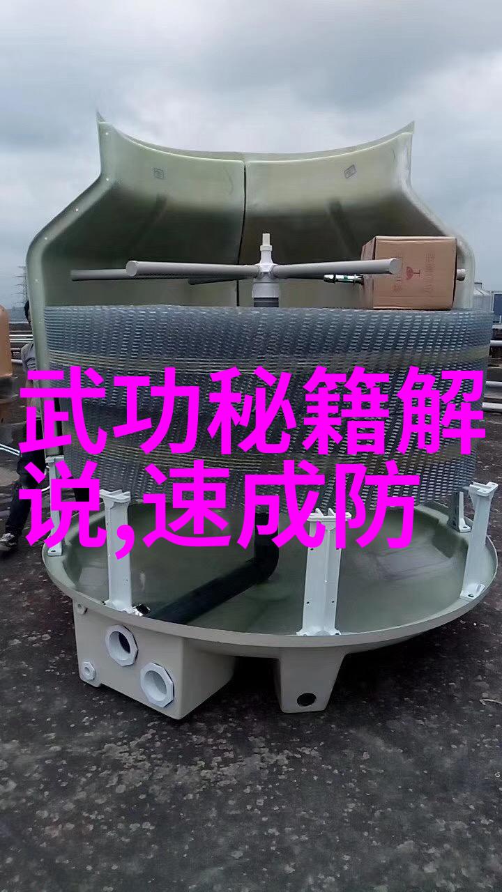 武术精髓内外兼修的艺术道路