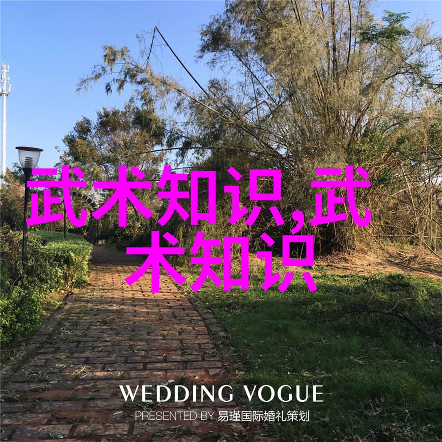 塑造完美身材的伙伴探索健身器械的世界