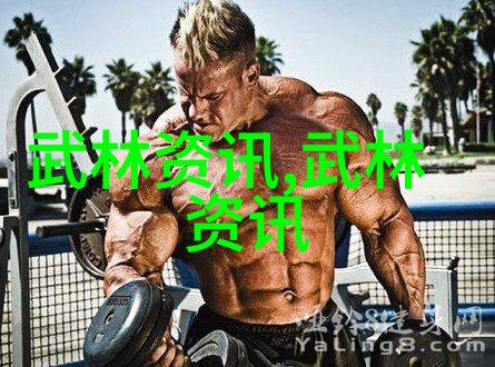 秘籍未封古今武林绝技全集