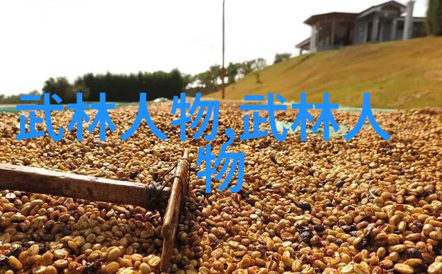 简易24式太极拳抖劲如人