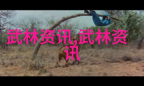 揭秘波速球减脂神器医疗器械制造商的动作解密之谜