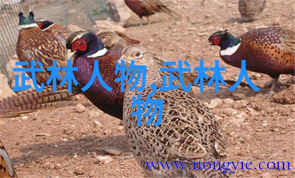 金庸武林秘籍太极劲与招式