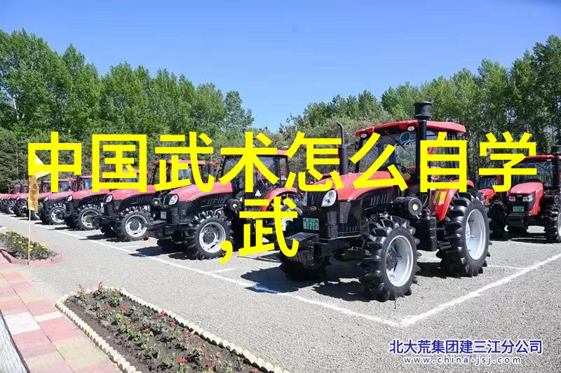 武林探秘-揭秘武林门派从古典传统到现代变迁