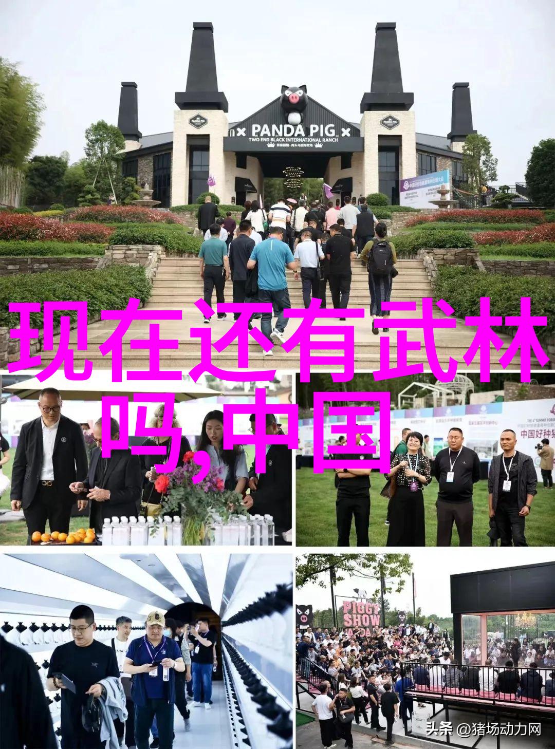 浅谈陈氏太极拳的泛臀武功秘籍大全招式拳法图片人物解析